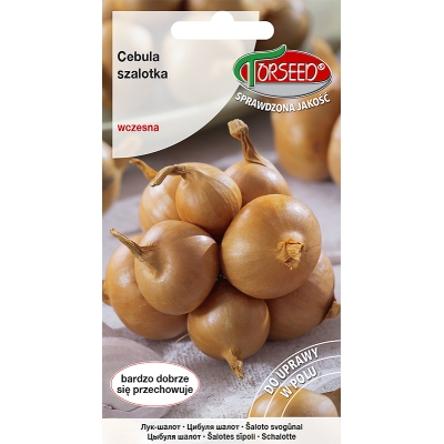 CEBULA SZALOTKA TOTO NASIONA 1G WCZESNA